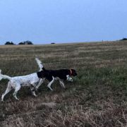 Chyra z Budisovske doliny