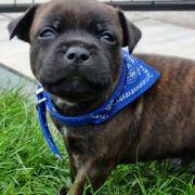 Planujemy na literę P