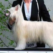 Greece Artagasamazis 3