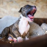 TIANA Because of Crazy Time 