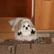 VIKTORIA LALI LOVLY LITTLE DOLL