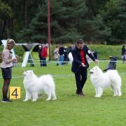 ORMUZ MOMO The Glow Of The Snowy Star