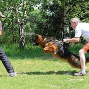 FARIDA von Gran Peregrino