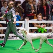 LETIZIA ORTIZ Artemis Canes 