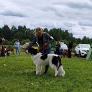 Gorgana Malowana Izba