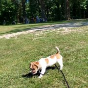 ANTUANETTE ZIEMANN Bialasso