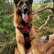 LEIKA Asarko Lordana