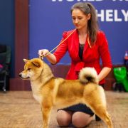 EKATO KADZUKEMONO DEN