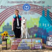 Archi Royal White of the Best