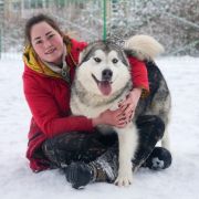 Amank Enisey Dream Universe 