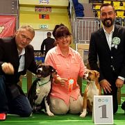 URODA Pokerowy Żywot