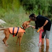 MORAWA z Tałchejów