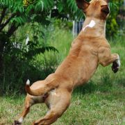 URODA Pokerowy Żywot