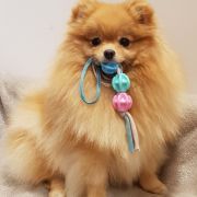 Falcnory Ornela Muti Beauty an Nicole