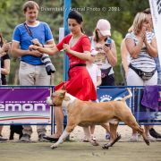 BORN FOR YOU VIA FORTUNA LONG STEP