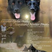 Litter D z Vesmírného olympu 