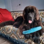 Aquatoriya Kelvin Elfa