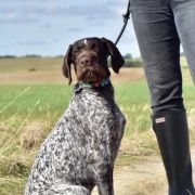 ANUBI Gosia's Valley FCI