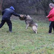 Ironclad du Bois du Tot