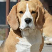 UNO MOMENTO KATTYVAL