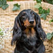 Ula La Hokus Pokus z Perłowej 