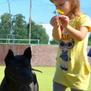 Sasouke Ancient Kynopolis