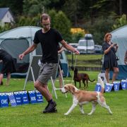 Ch. Pl GRAND MOFF TARKIN from Sith Empire