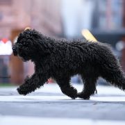 Tarifa Playa Bona Espero