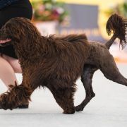 AmberEyes'Magic JUST FOR YOU