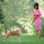 EAGLE FLYING HIGH VIA FORTUNA