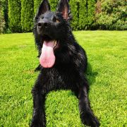 HINATA z Rudzkiej Watahy