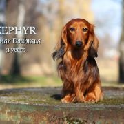 ZEPHYR Elimar Doubrava