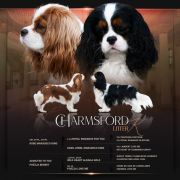 Charmsford KHASI BLUSHWORT