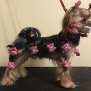 Carlos Winner Szafran