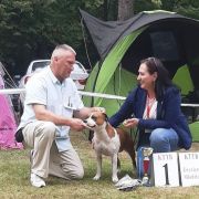 URANIA Pokerowy Żywot 