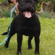 EVERYTHING I NEED Bitis