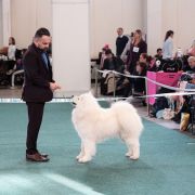 ORMUZ MOMO The Glow Of The Snowy Star