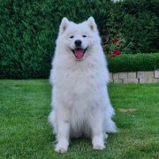 B'ZOE OF IDOL Magia Syberii 