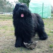 GODDNESS OF MY VICTORY Victory of Love