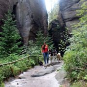 Triumf Sibiri VAIS VSEGDA PERVIY