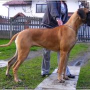 FINLANDIA Jantarowa Saga 