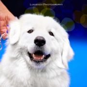 E`Vesna S Gory Mezmay