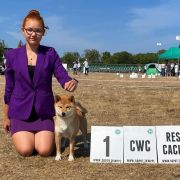 GEISYUKU SAKAMOTO Subarashii