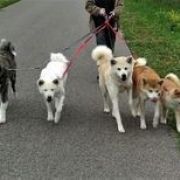 SHIORI Senshi No Seishin