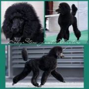 INKYSTONE JASET ADVENTURE