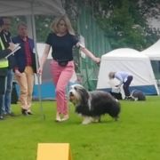 Charlotte Sometimes Del Cuore Impavido 