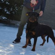 AQURA Babimojskie Gniazdo 