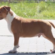 No One Like You z Wiślanego Portu