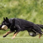 Ero vom Niederbühler Tor