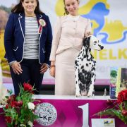 Dalylove Daragaja Sara